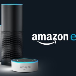 Disclaimer: We Are Not Alexa, this website is pure