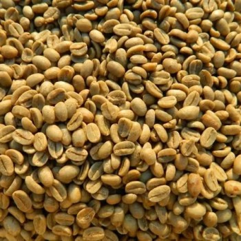top-quality Ugandan robusta ,Arabica+27719755564